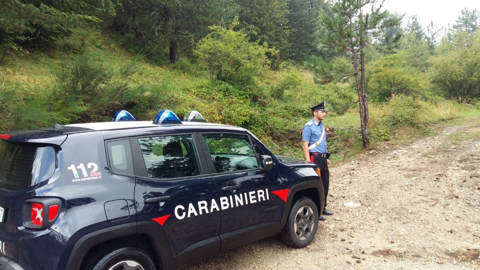 Rintracciato in Sila un uomo perso tra i boschi 51 rossano 1 2