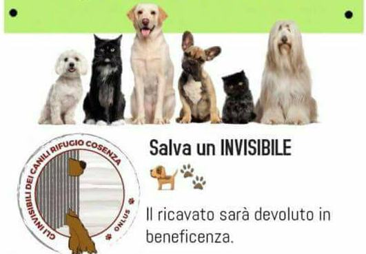 salva invisibile