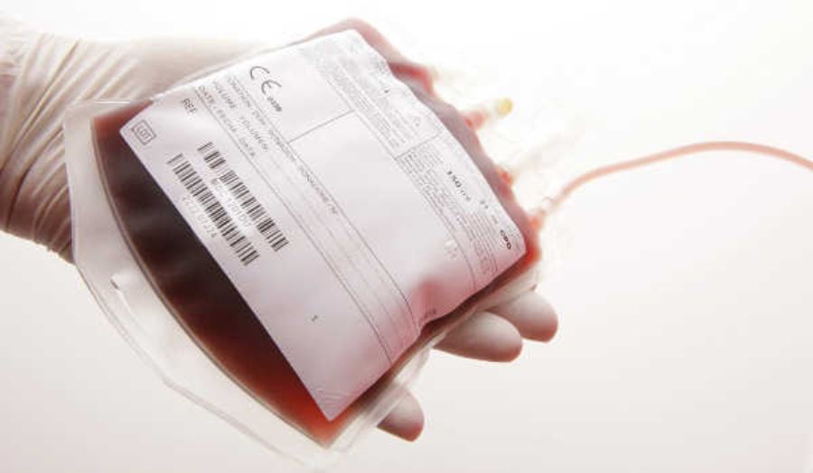 Sangue infetto: Cassazione annulla la condanna del dott. Marcello Bossio 51 sangue infetto 1 1