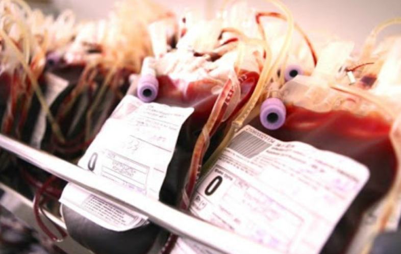 'Sangue infetto': una condanna e un'assoluzione in appello. Famiglia Ruffolo ancora non risarcita 51 sangue infetto 4