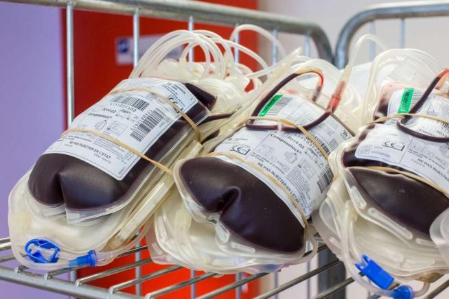 sangue trasfusioni processo cosenza
