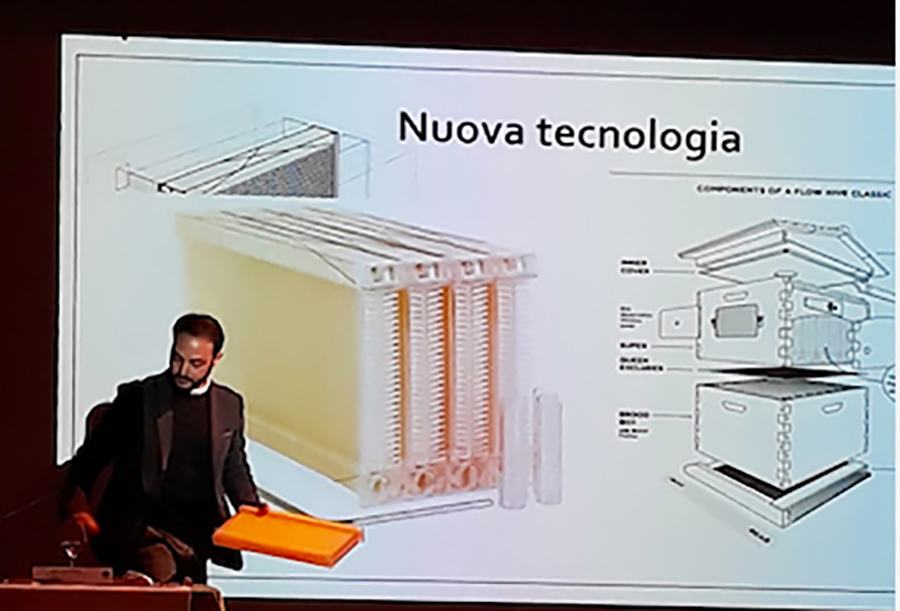 Inquinamento genetico api
