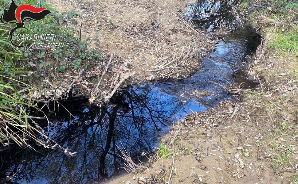 scolo reflui montalto frantoio