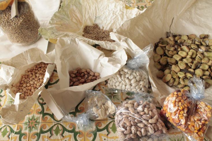 All'Unical si barattano semi per esaltare l'agricoltura del territorio 77 semi