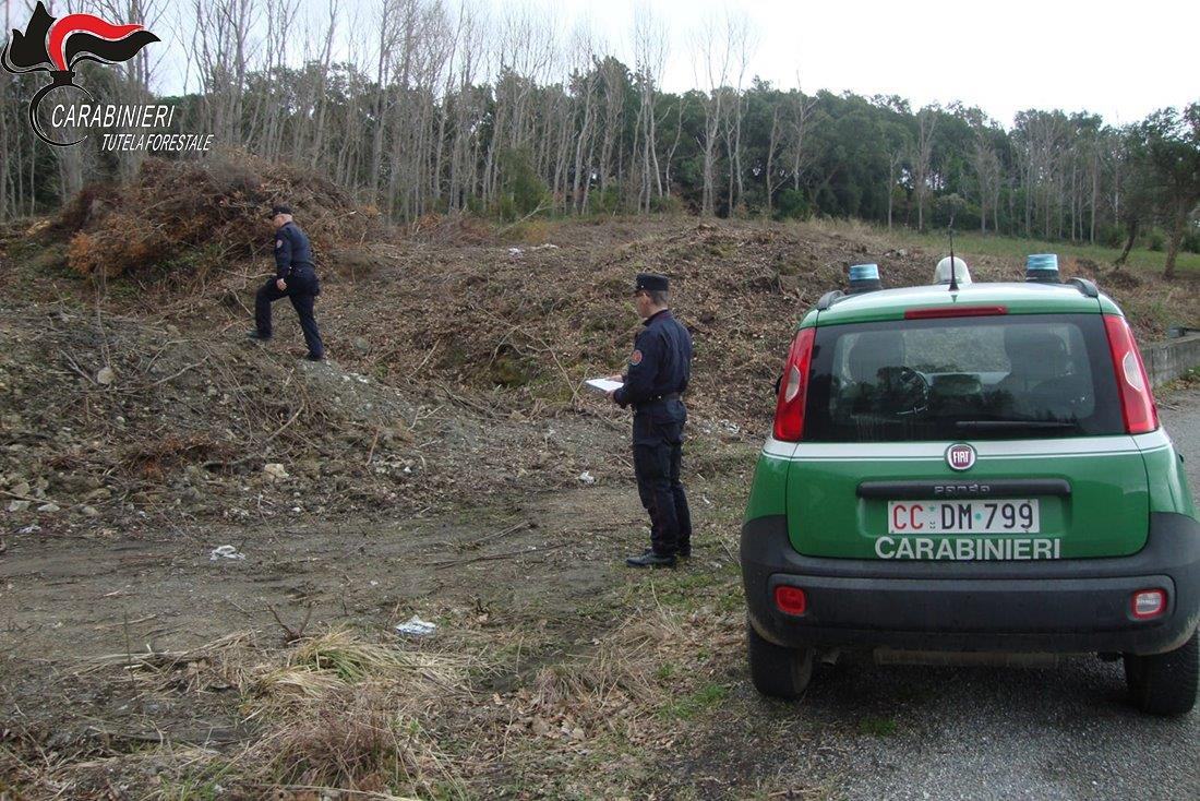 Estirpa macchia mediterranea, due denunce a S.Domenica Talao 74 sequestro 3