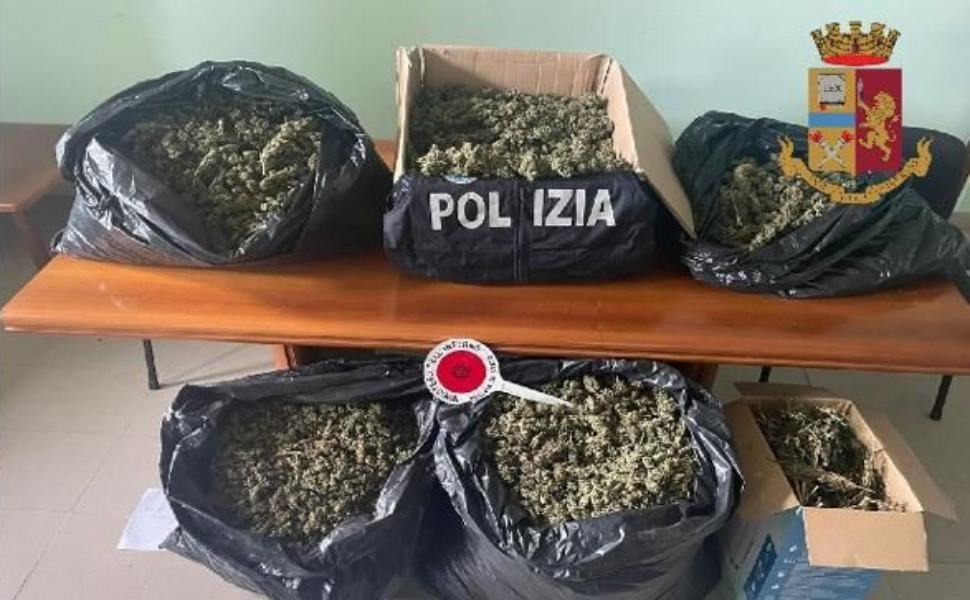 Blitz antidroga, sequestrati 65 chili di marijuana 51 sequestro 65 chili marijuana