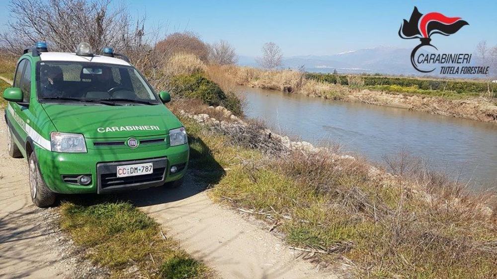 sequestro agrumeti corigliano 02