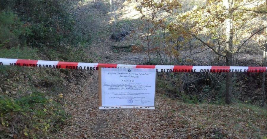 sequestro area boschiva