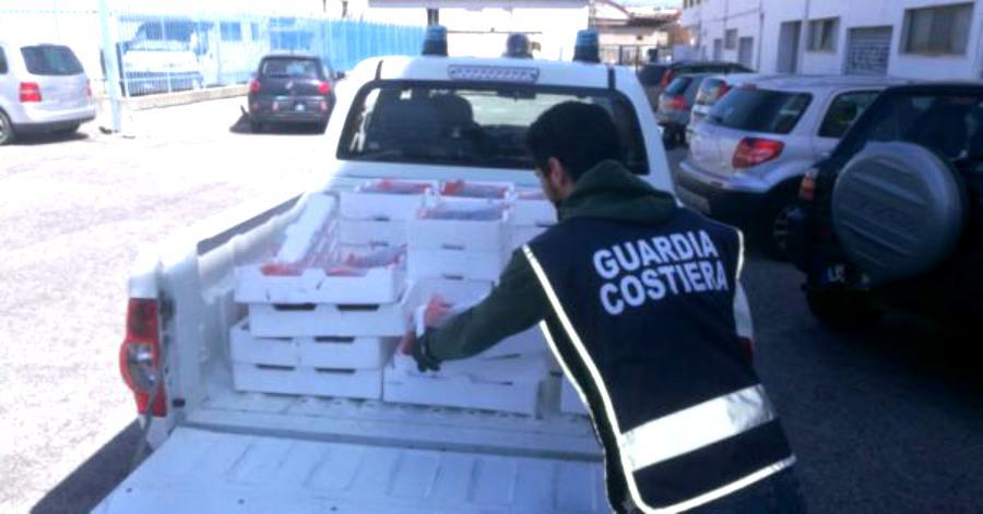 Pesca illegale, multe e sequestri. Sequestrati circa 150 chili di novellame di sarda 53 sequestro bianchetto strongoli
