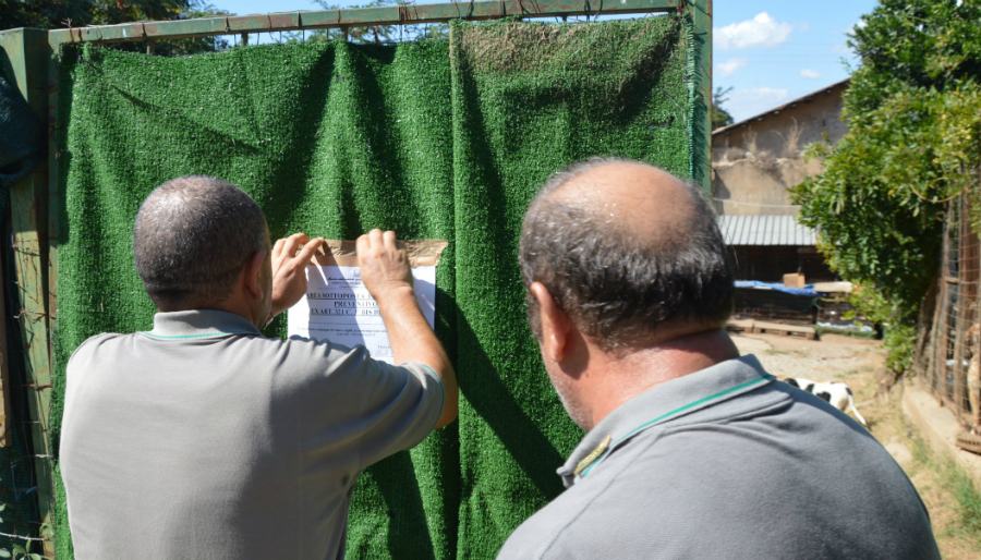 Animali maltrattati e malversazione, dissequestrato il canile di Campo Calabro 51 sequestro canile campo calabro