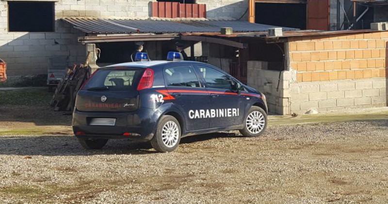 sequestro carabinieri azienda zootecnica