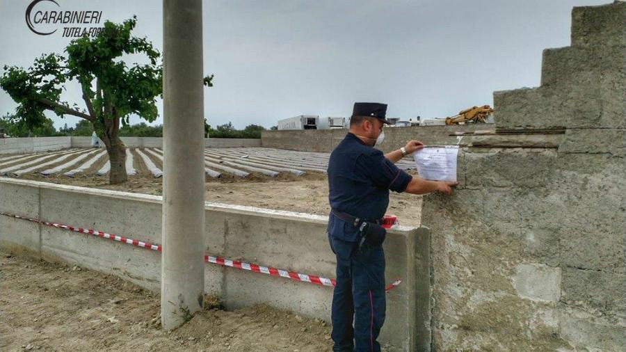 sequestro crosia carabinieri forestali