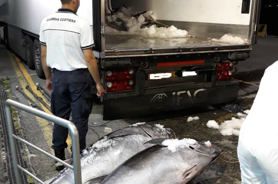sequestro di 10 tonnellate di tonno rosso