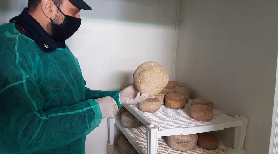 sequestro formaggio forestali 01