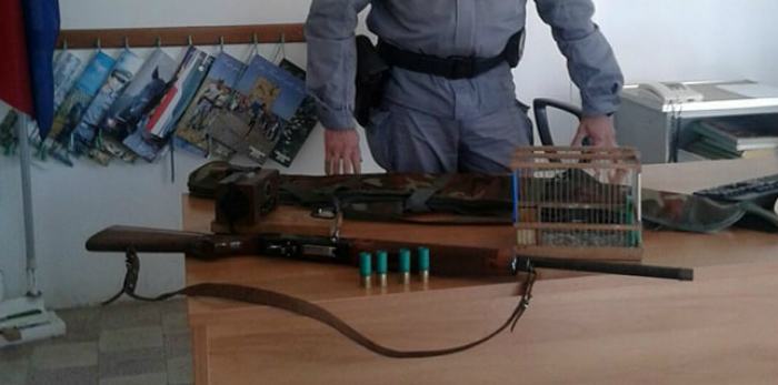 Attività venatoria illegale e bracconaggio, cacciatori denunciati nel Cosentino 53 sequestro grisolia caccia 01