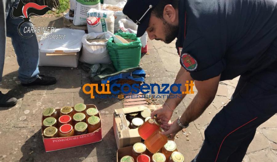 sequestro mercato rota greca cc forestali