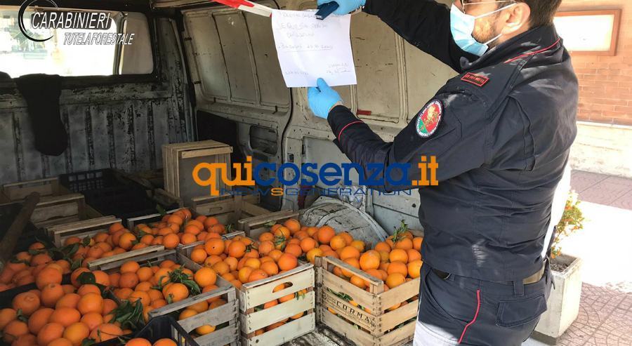 sequestro montalto cassano jonio