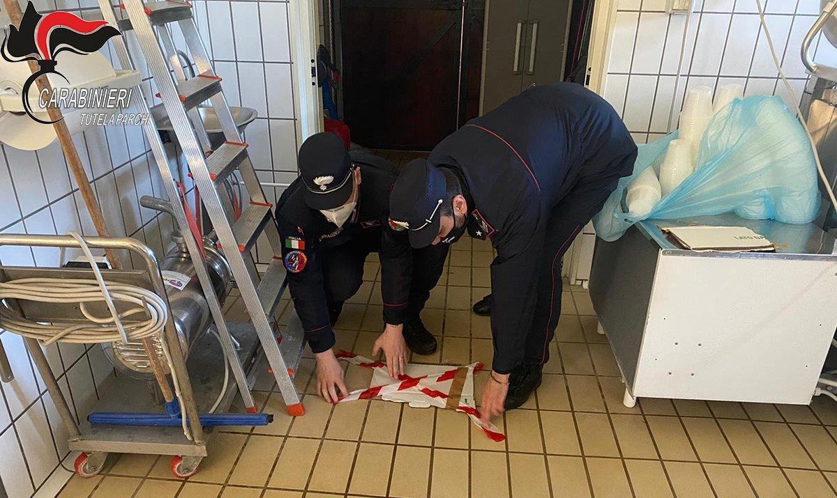 sequestro morano Calabro caseificio