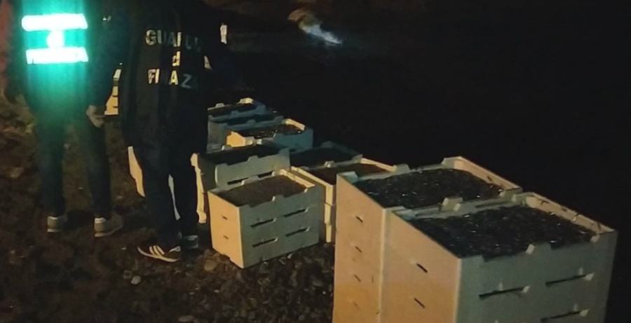 Amendolara, pescatori multati e sequestrate due tonnellate di "bianchetto" 55 sequestro novellame amendolara 03