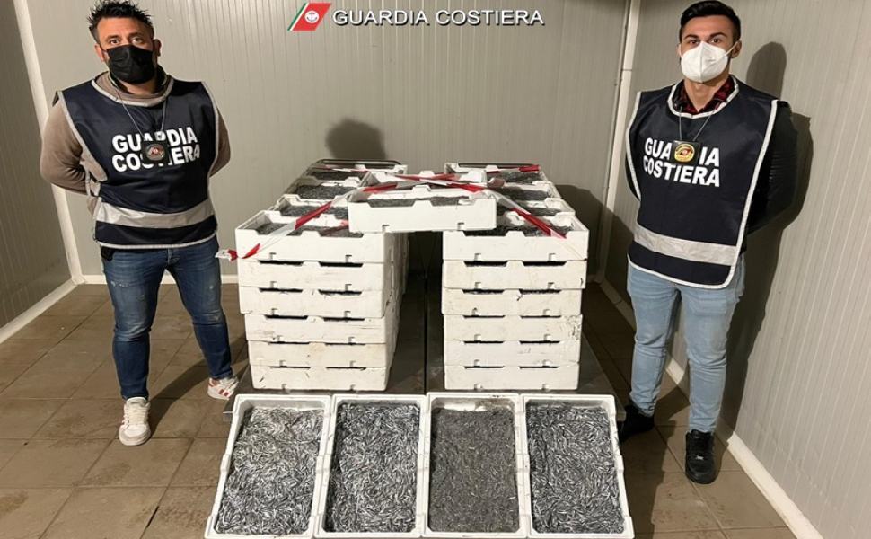 sequestro novellame sarda 1