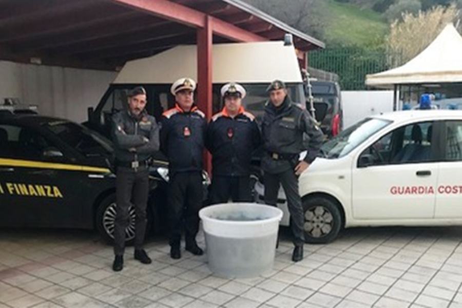 sequestro novellame sarda