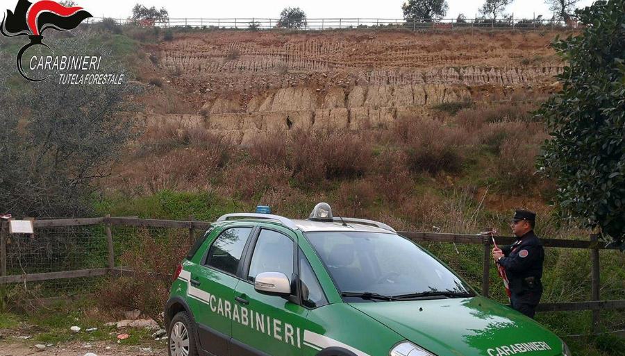 sequestro rossano cc forestali