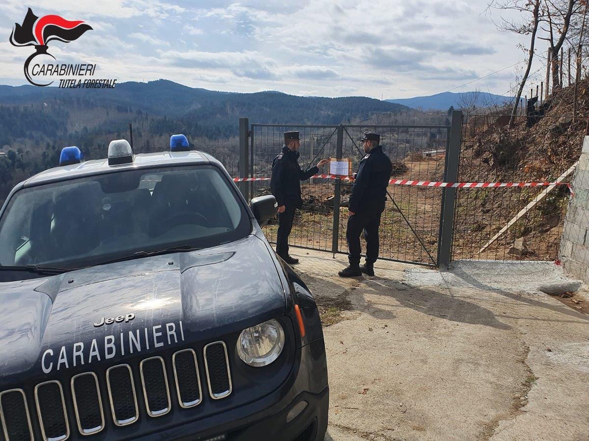 Disboscano terreno sottoposto a vincolo, due persone denunciate a San Giovanni in Fiore 51 sequestro s.giovanni
