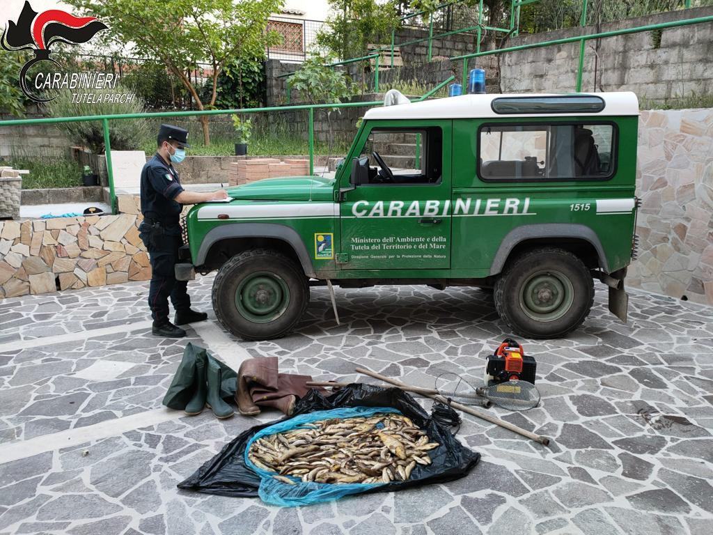 sequestro trote