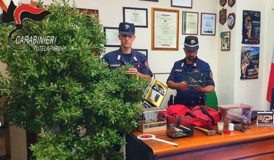 sequestro uccellagione carab forestali cs