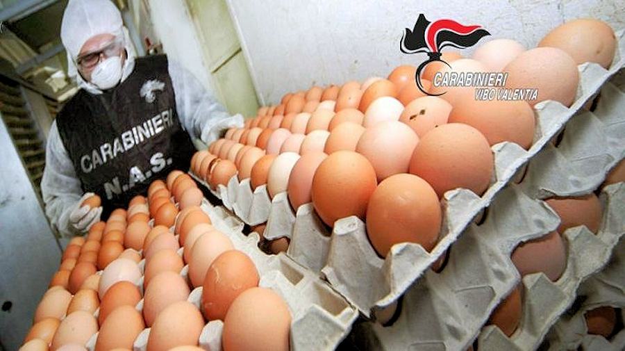 sequestrrate 4.000 uova nas