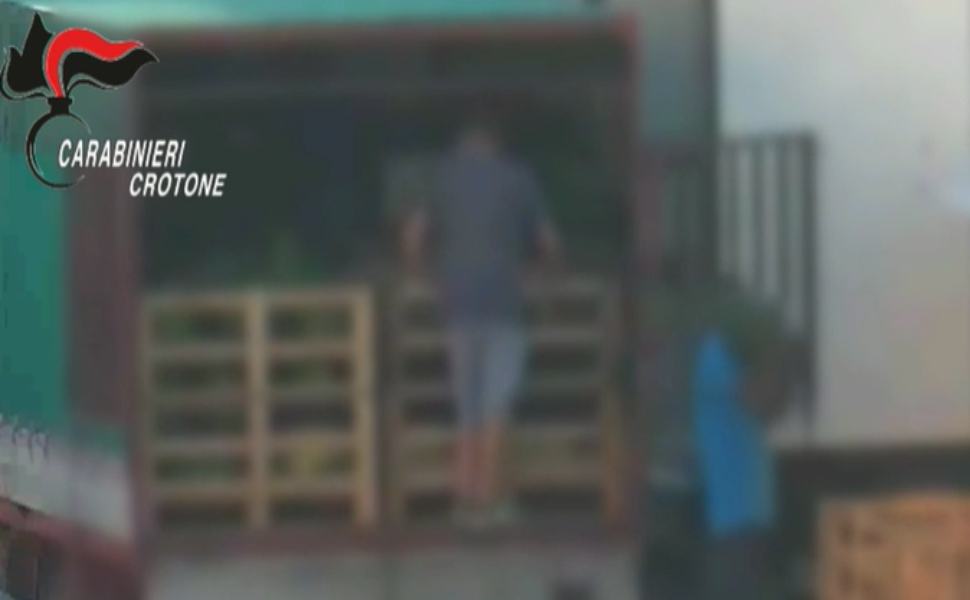 sfruttamento lavoro crotone carabinieri 01