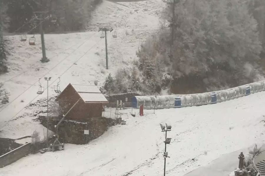 sila neve palumbosila