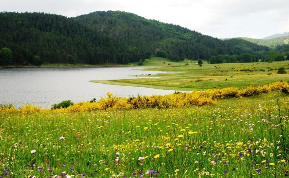 San Giovanni in Fiore, il Distretto turistico dell’Altopiano della Sila si farà 51 sila2 1
