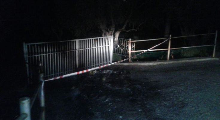 silvana rodriguez9 735x400 1