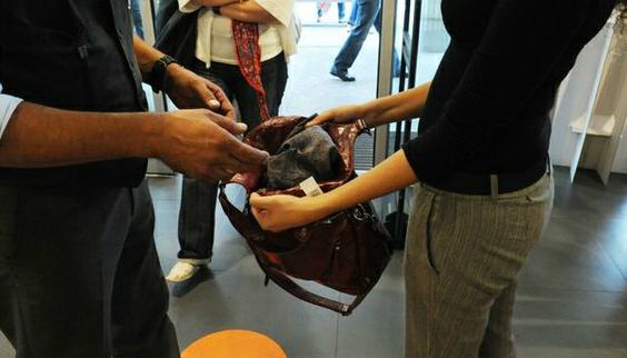 sistemi antitaccheggio