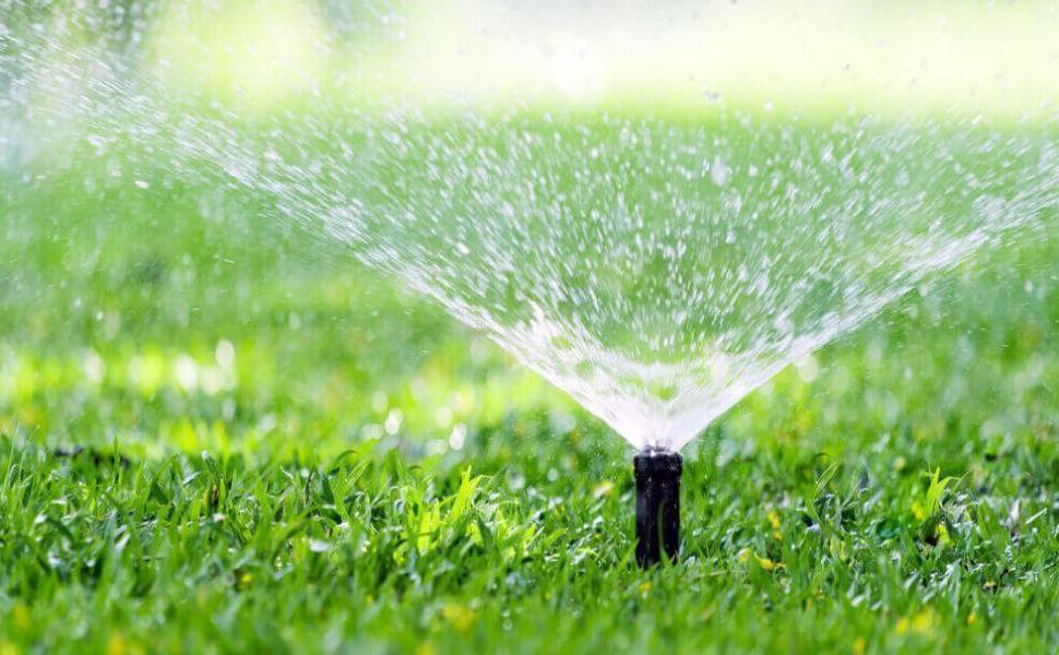 Cosenza, saranno ripristinati tutti gli impianti di irrigazione della città 51 sistemi di irrigazione 1