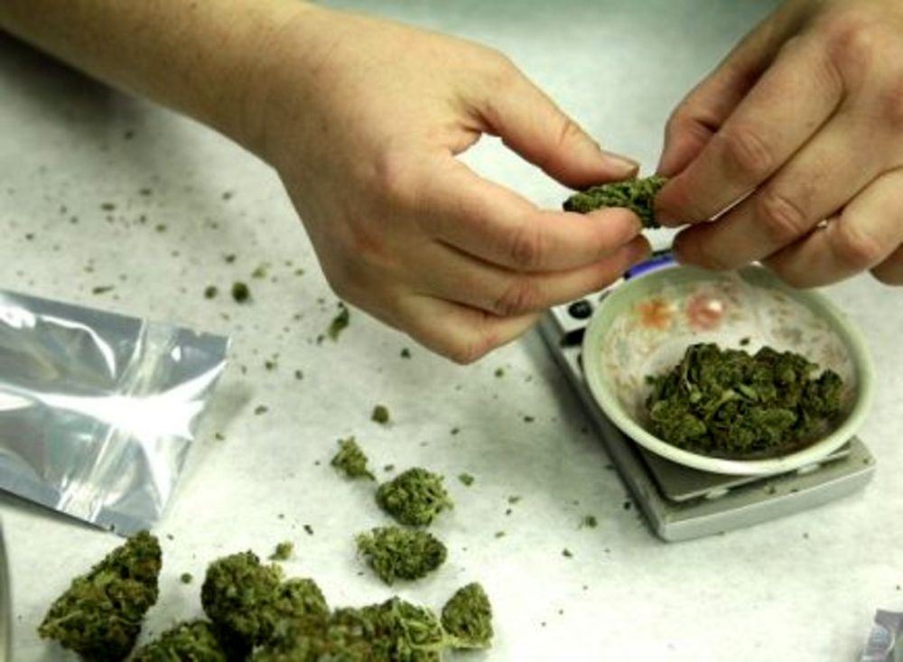 Ventisettenne ai domiciliari nascondeva droga pronta per essere spacciata: arrestato 74 spaccio marijuana 2 4