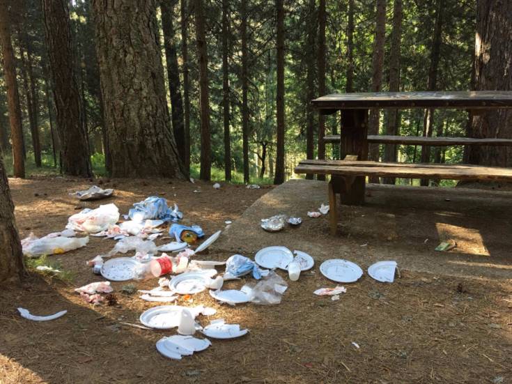 spazzatura camigliatello 4