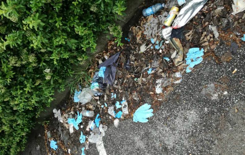 Cosenza Fase 2, Comitato Alberi Verdi chiede maggior igiene in città 52 spazzatura cs 1