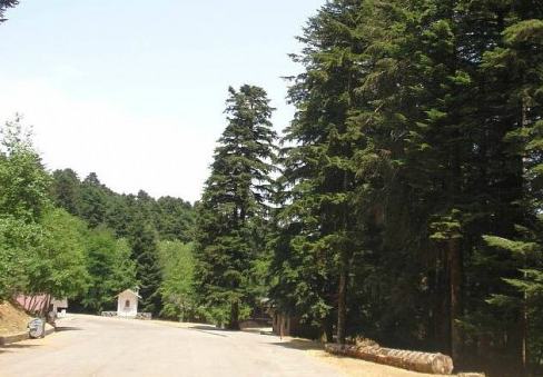 sponze fagnano castello