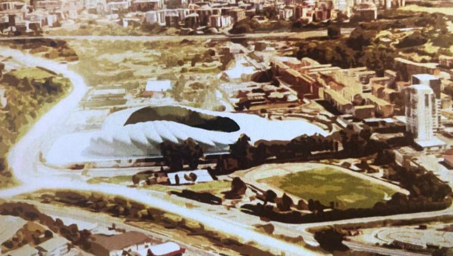 stadio progetto cosenza