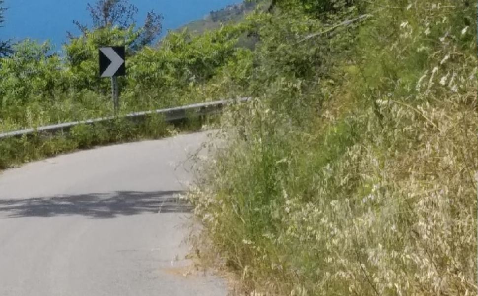 "Interventi urgenti sulle arterie provinciali di Cosenza in vista della stagione turistica" 51 strada provinciale guardia piemontese 1