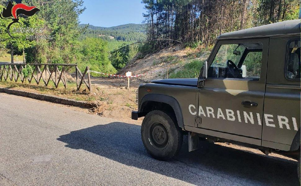 Pista abusiva in mezzo ai boschi, denunciati nel cosentino 51 strada sGiovanni 1