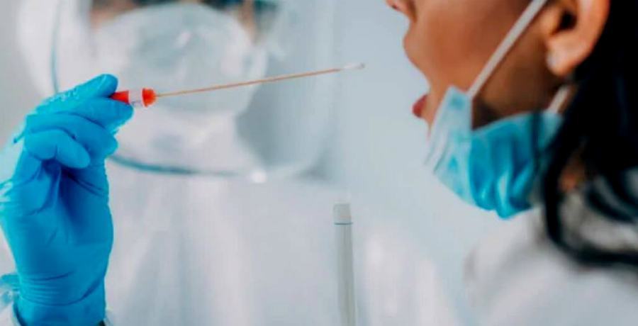 Cosentina positiva dopo 5 giorni in Sardegna: «ho visto tanta cattiveria» 51 tampone ragazza