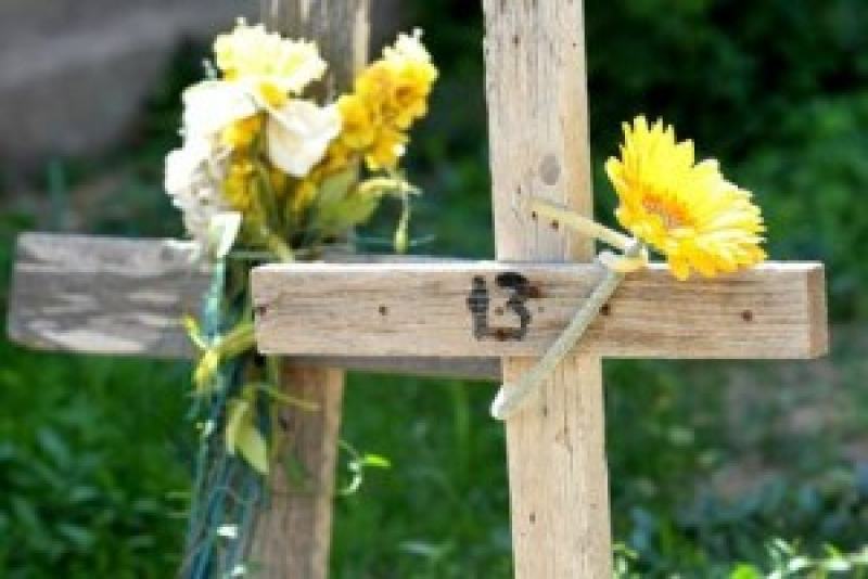 Tutto pronto per la costruzione del cimitero dei migranti a Tarsia 51 tarsia