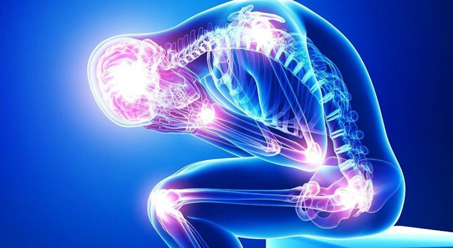 terapia del dolore 1