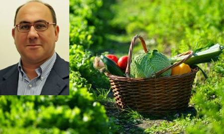 terreni guccione agricoltura