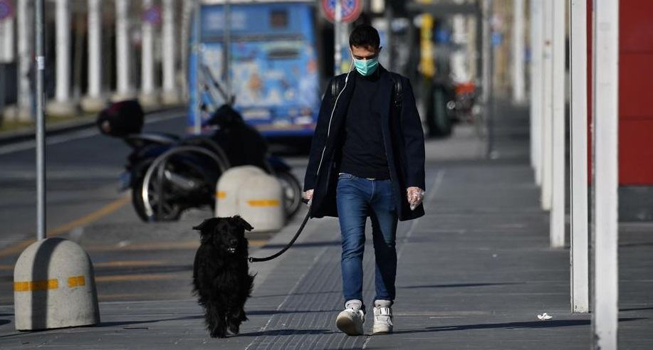 torino coronavirus cane 1