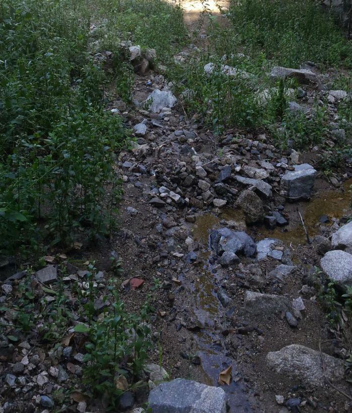 torrente acqua di fico