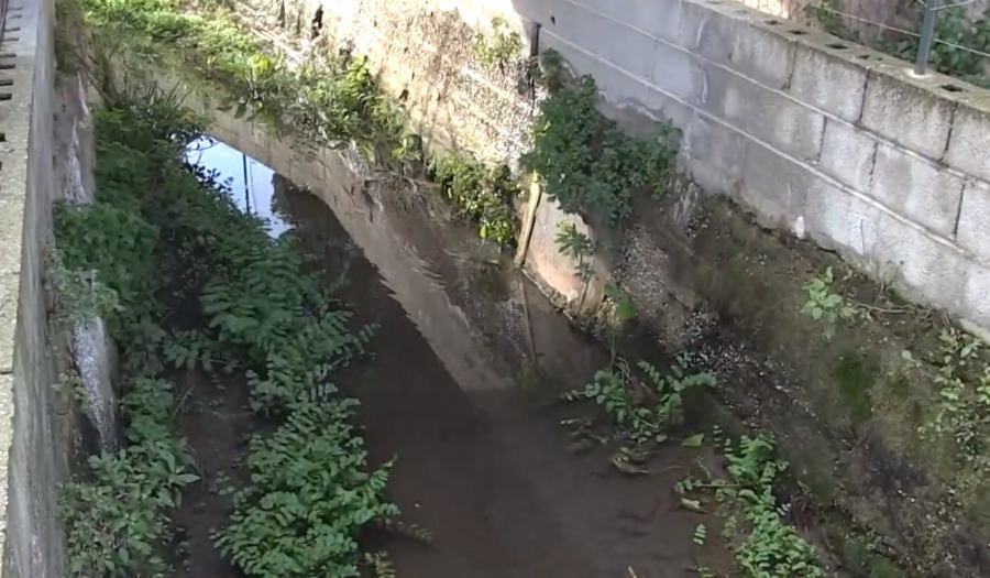 Acque marino-costiere: attenzione rivolta ai fossi che sfociano a mare 51 torrente tomarchiello vibo bivona